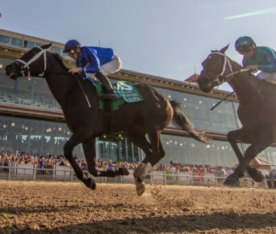 Tarifa, horses, Godolphin, Louisiana Oaks, sábado, 23 de marzo de 2024, Fair Grounds. Foto: Hodges Photography