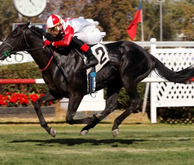 Xuxo Lui, horse, Haras Santa Isabel, Clásico Robert Bruce, viernes, 22 de marzo de 2024, Club Hípico de Santiago. Foto: Jaime Cortés