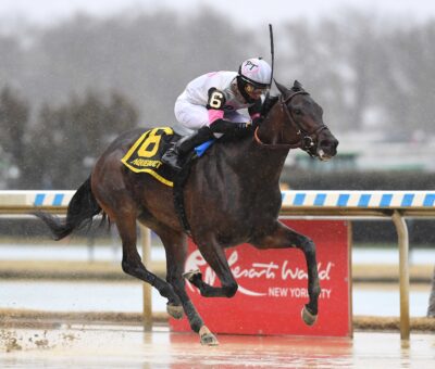 Jody´s Pride, horse, American Pharoah, Busher Stakes Listado, sábado, 2 de marzo de 2024, Aqueduct. Foto: Coglaniese Photo & Chelsea Durand