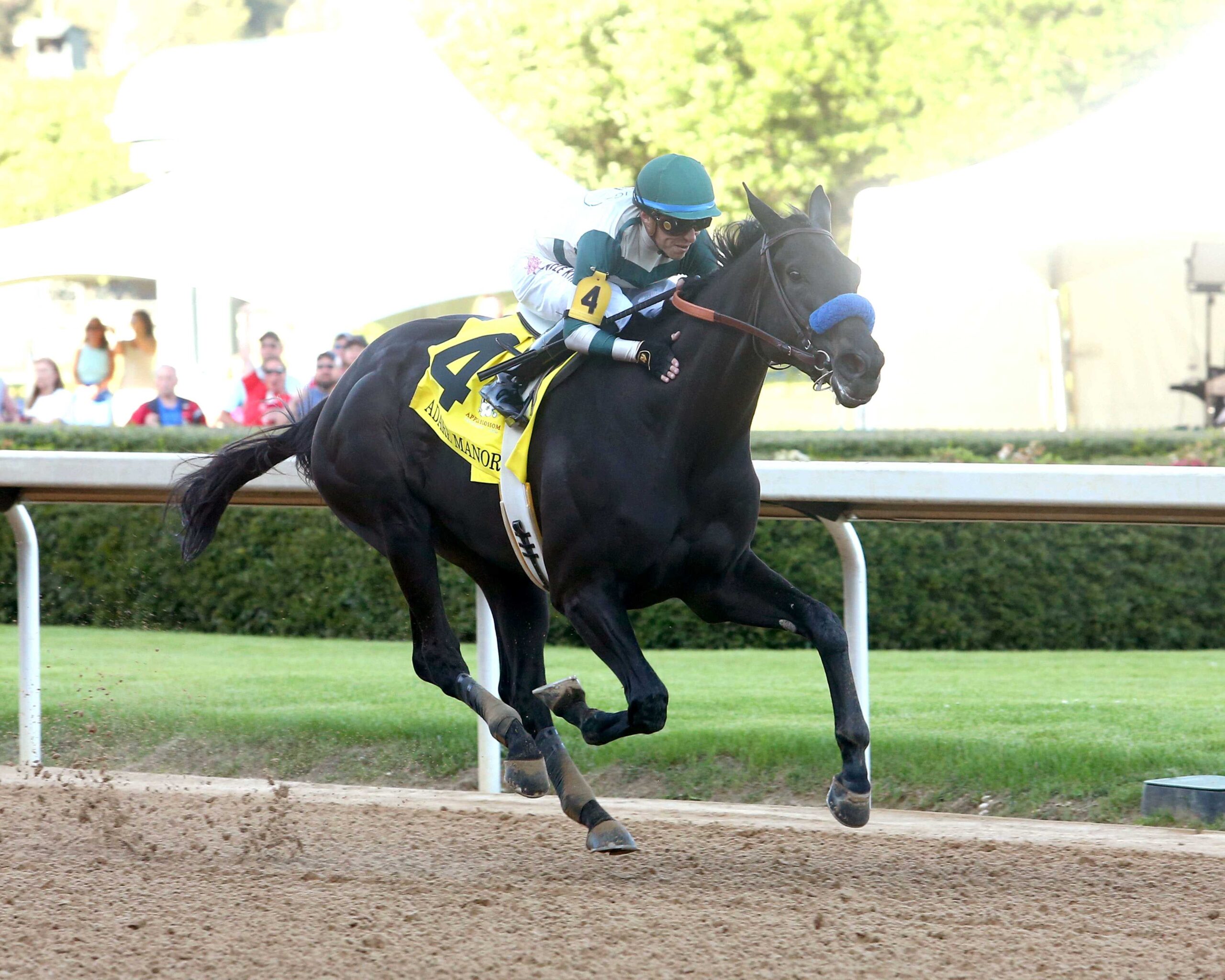 Adare Manor, Horses, Uncle Mo, Apple Blossom Stakes, sábado, 13 de abril de 2024, Oaklawn Park. Foto: Coady Photo