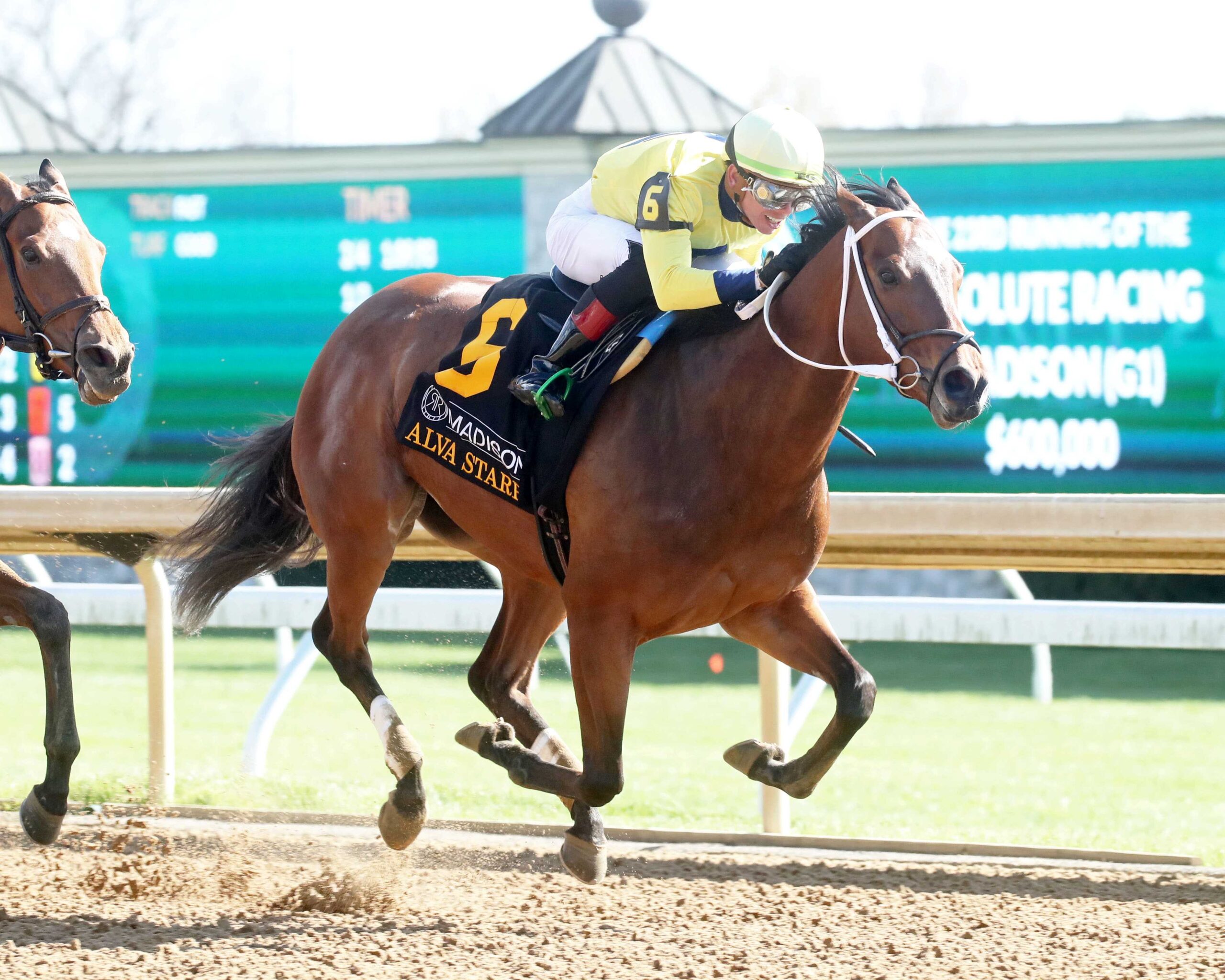 Alva Starr, horse, Lord Nelson, Madison Stakes, sábado, 6 de abril de 2024, Keeneland. Foto: Coady Photo