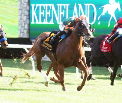 Arzak, horse, Sonata Stable, Shakertown Stakes, sábado, 6 de abril de 2024, Keeneland. Foto: Coady Photography