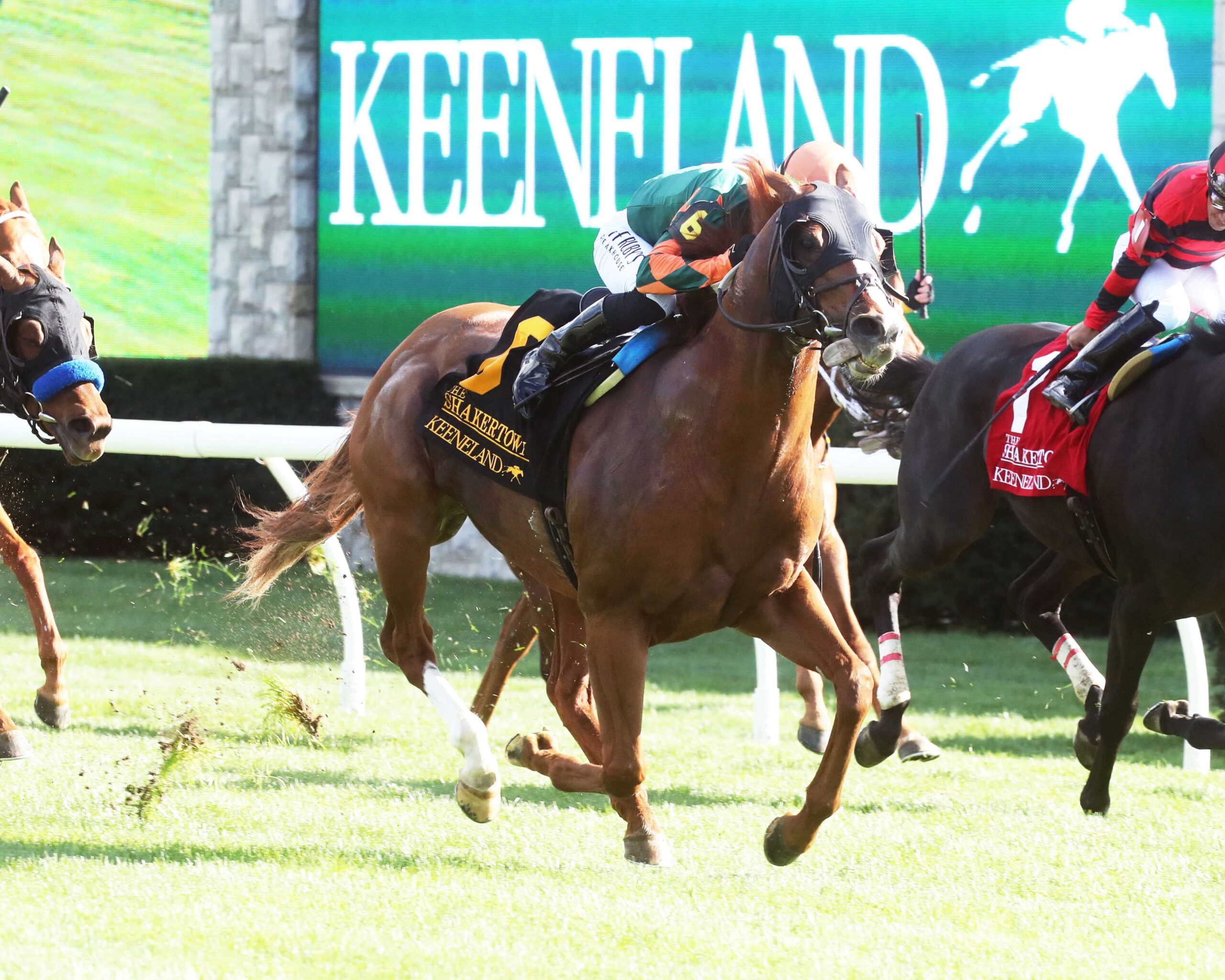 Arzak, horse, Sonata Stable, Shakertown Stakes, sábado, 6 de abril de 2024, Keeneland. Foto: Coady Photography