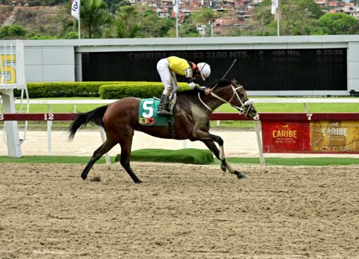 Daniela Runner, horse, Haras La Primavera, Clásico Blondy, domingo, 20 de abril de 2024 de 2024, La Rinconada. Foto: José Antonio Aray