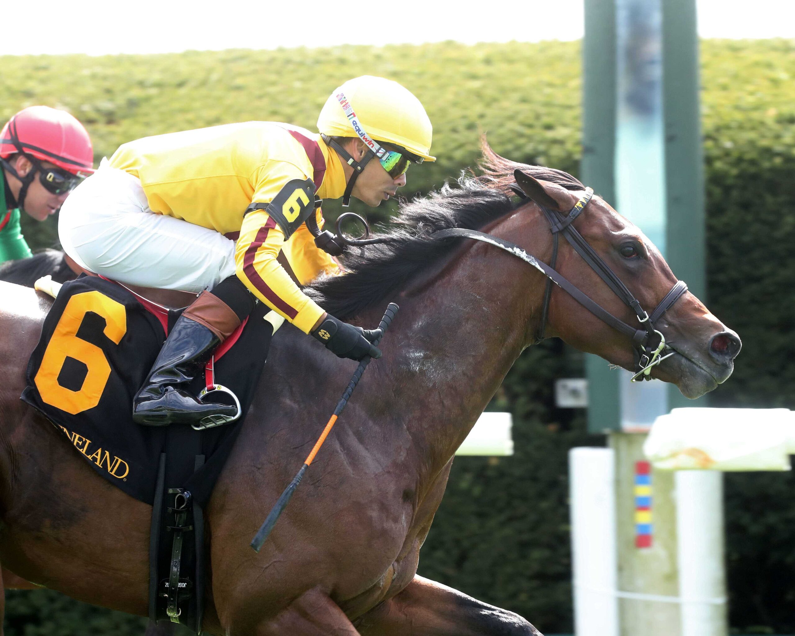 Fandom, horse, Stonestreet Stables, Palisades Stakes, domingo, 7 de abril de 2024, Keeneland. Foto: Coady Photography