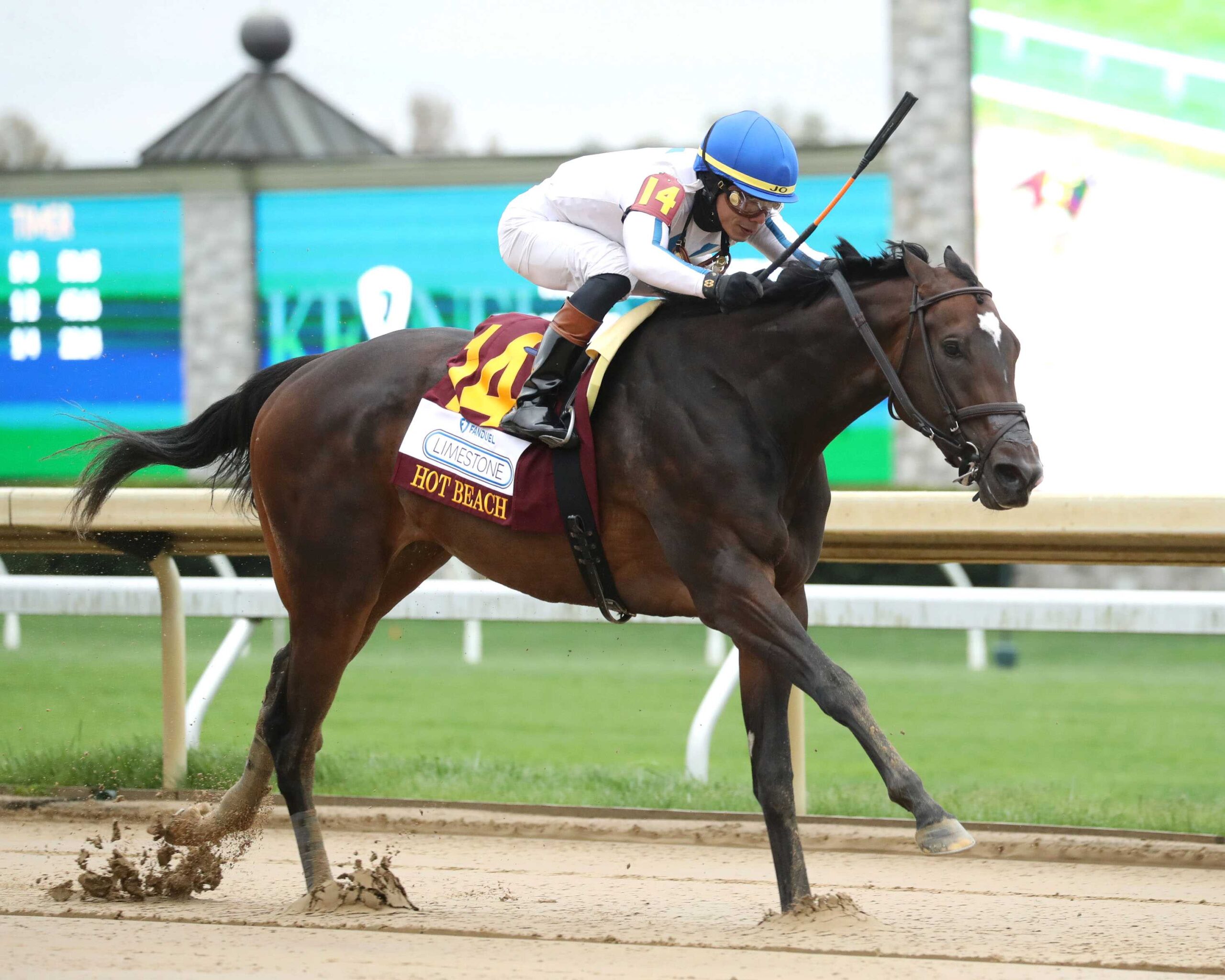 Hot Beach, horse, Omaha Beach, Fanduel Limestone Stakes, viernes, 12 de abril de 2024, Keeneland. Foto: Coady Photo