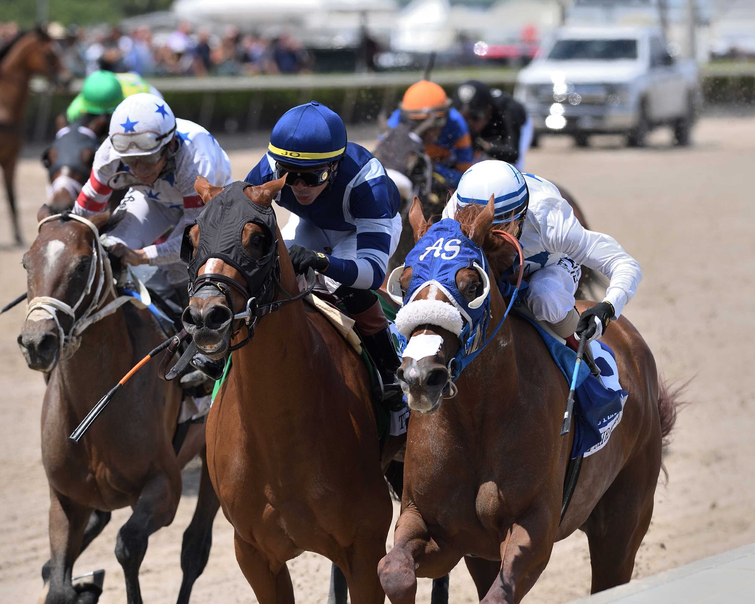 Il Miracolo, horse, Gun Runner, Willow Oaks Stables LLC, sábado, 30 de marzo de 2024, Gulsftream Park. Foto: Coglianese Photo