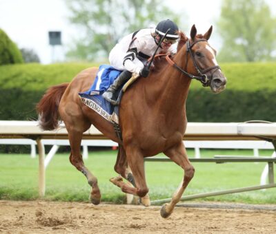 Raging Sea, horse, Curlin, Baird Dobledogdare Stakes, viernes, 19 de abril de 2024, Keeneland. Foto: Coady Photography