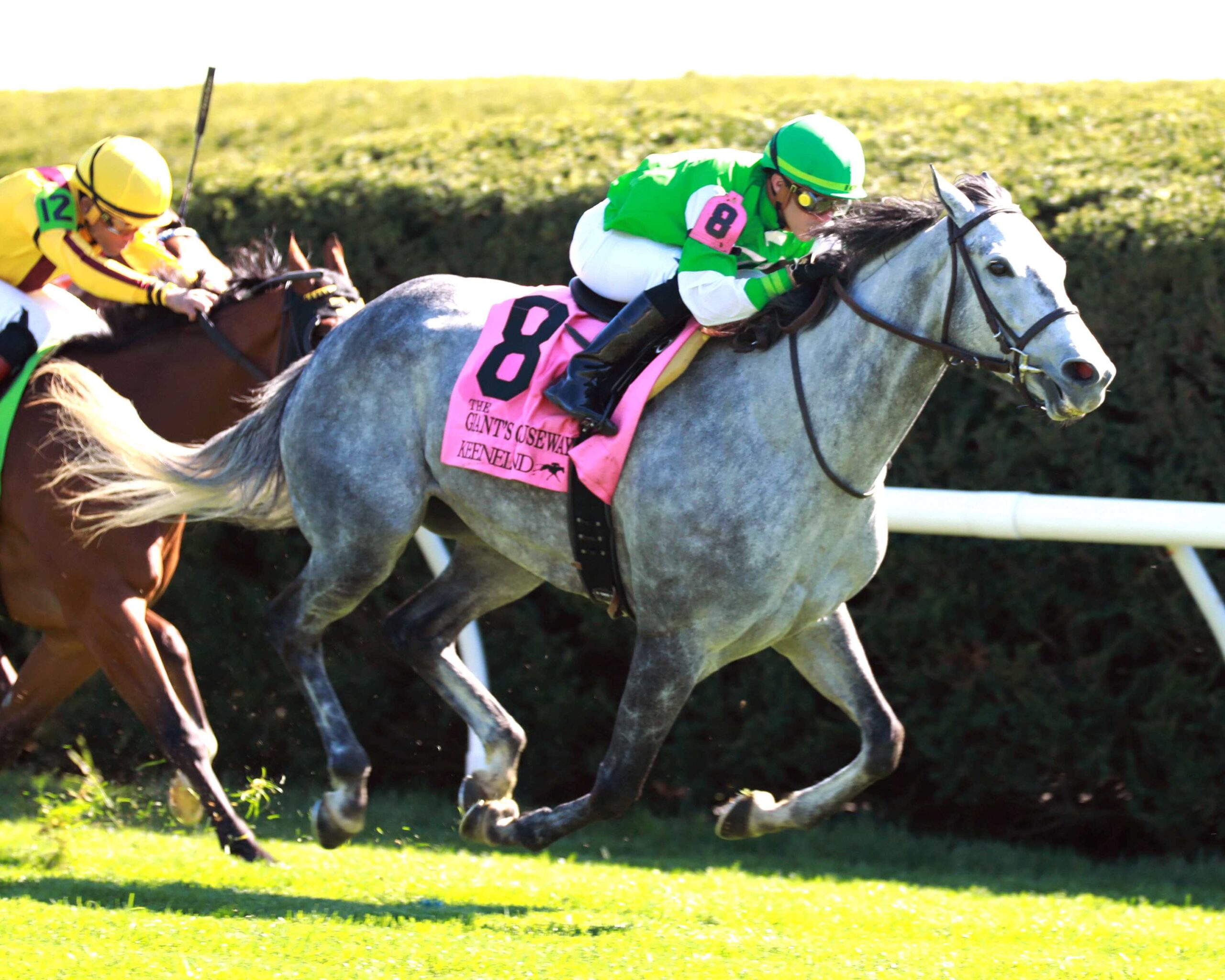 Roses For Debra, horse, Liam´s Map, Giant´s Causeway Stakes, sábado, 13 de abril de 2024, Keeneland. Foto: Coady Photography