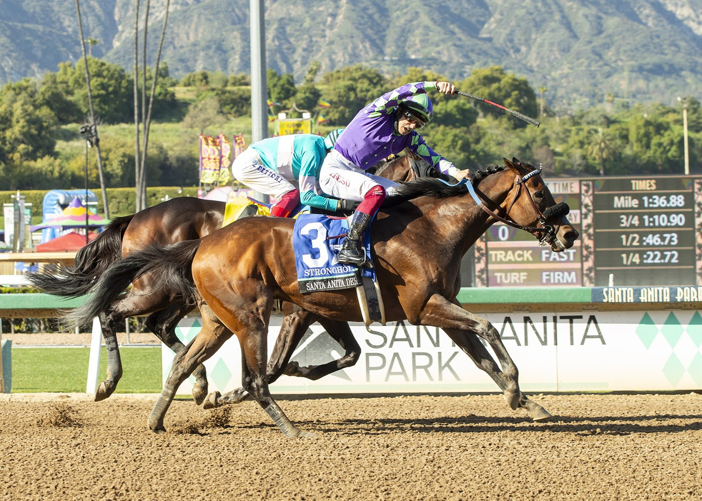 Stronghold, Horses, Ghostzapper, Santa Anita Derby, sábado, 6 de abril de 2024, Santa Anita Park. Foto: Benoit Photo