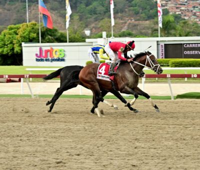 Templario, horse, Haras La Invasión, Clásico Presidente de la República, domingo, 20 de abril de 2024, La Rinconada. Foto: José Antonio Aray