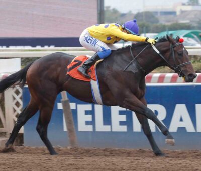 Celtic Dad, horse, Robert Bruce, Clásico Raúl Spoerer Carmona y Raúl Spoerer Urrutia, sábado, 20 de abril de 2024, Hipódromo Chile. Foto: Jaime Cortés