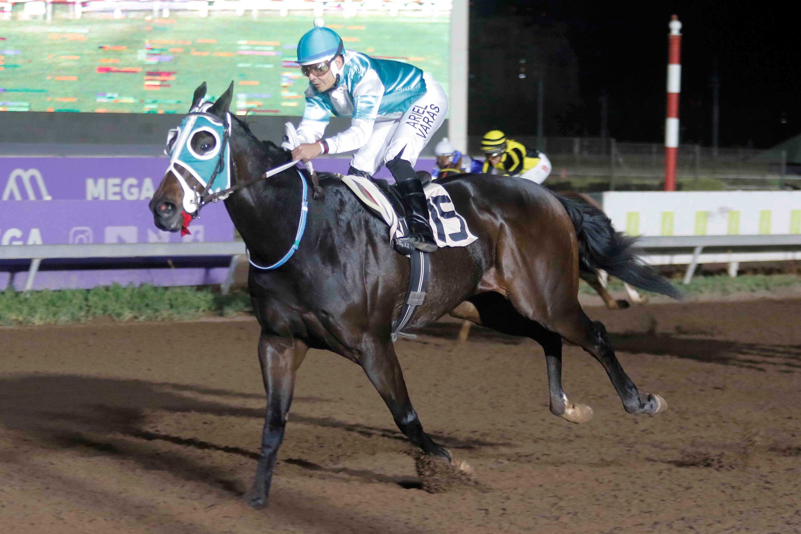 El Obrero, horses, Haras Melipilla, Clásico Galeno, viernes, 26 de abril de 2024, Club Hípico de Santiago. Foto: Jaime Cortés