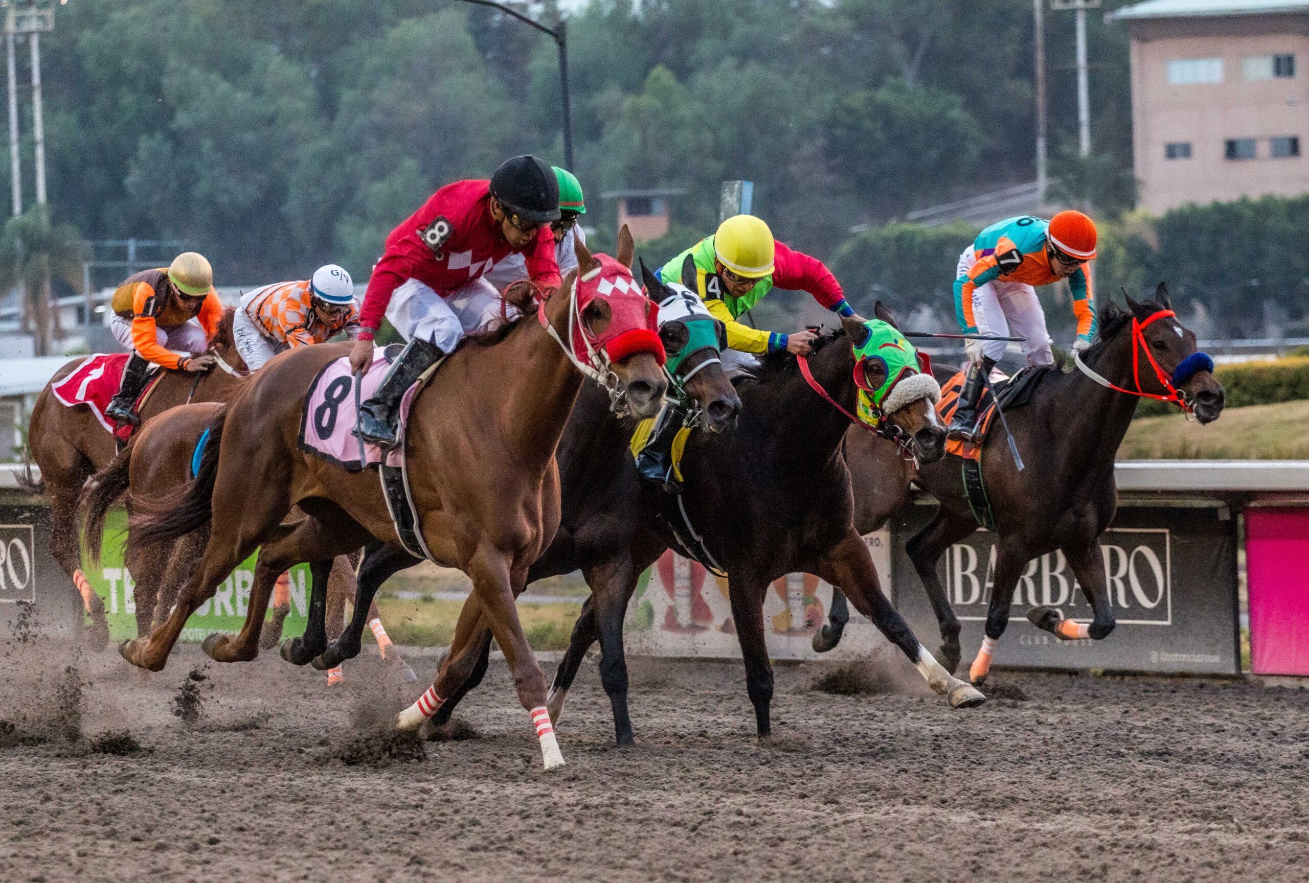 Nochtli, horses, Cuadra San Jorge, Clásico Letruska, Hipódromo de Las Américas, sábado, 11 de mayo de 2024. Foto: Miguel Ángel Espinoza