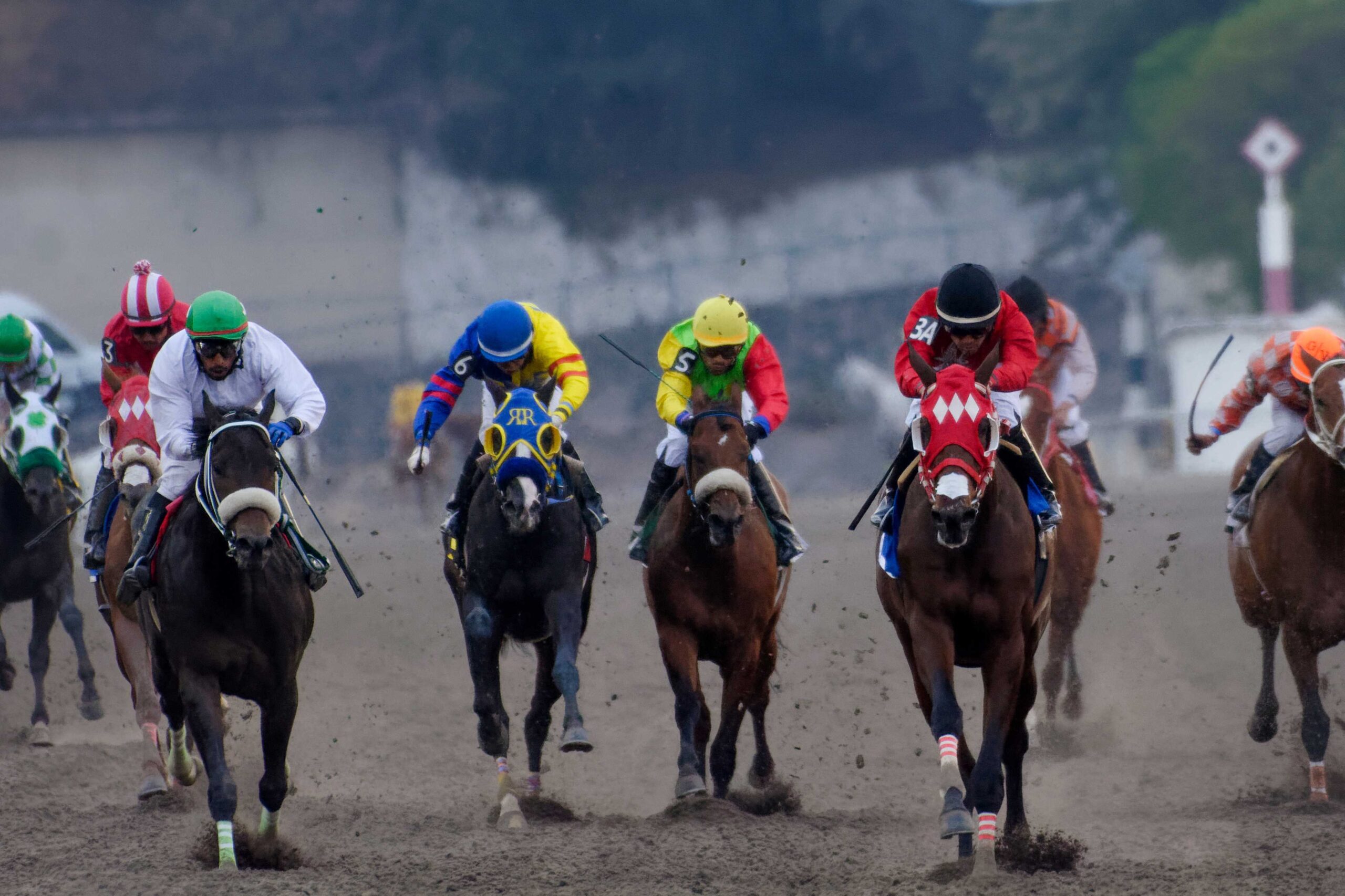 Quintero, horses, Cuadra San Jorge, Clásico Nueva Hípica, Hipódromo de Las Américas, sábado, 4 de mayo de 2024. Foto: Miguel Ángel Espinoza