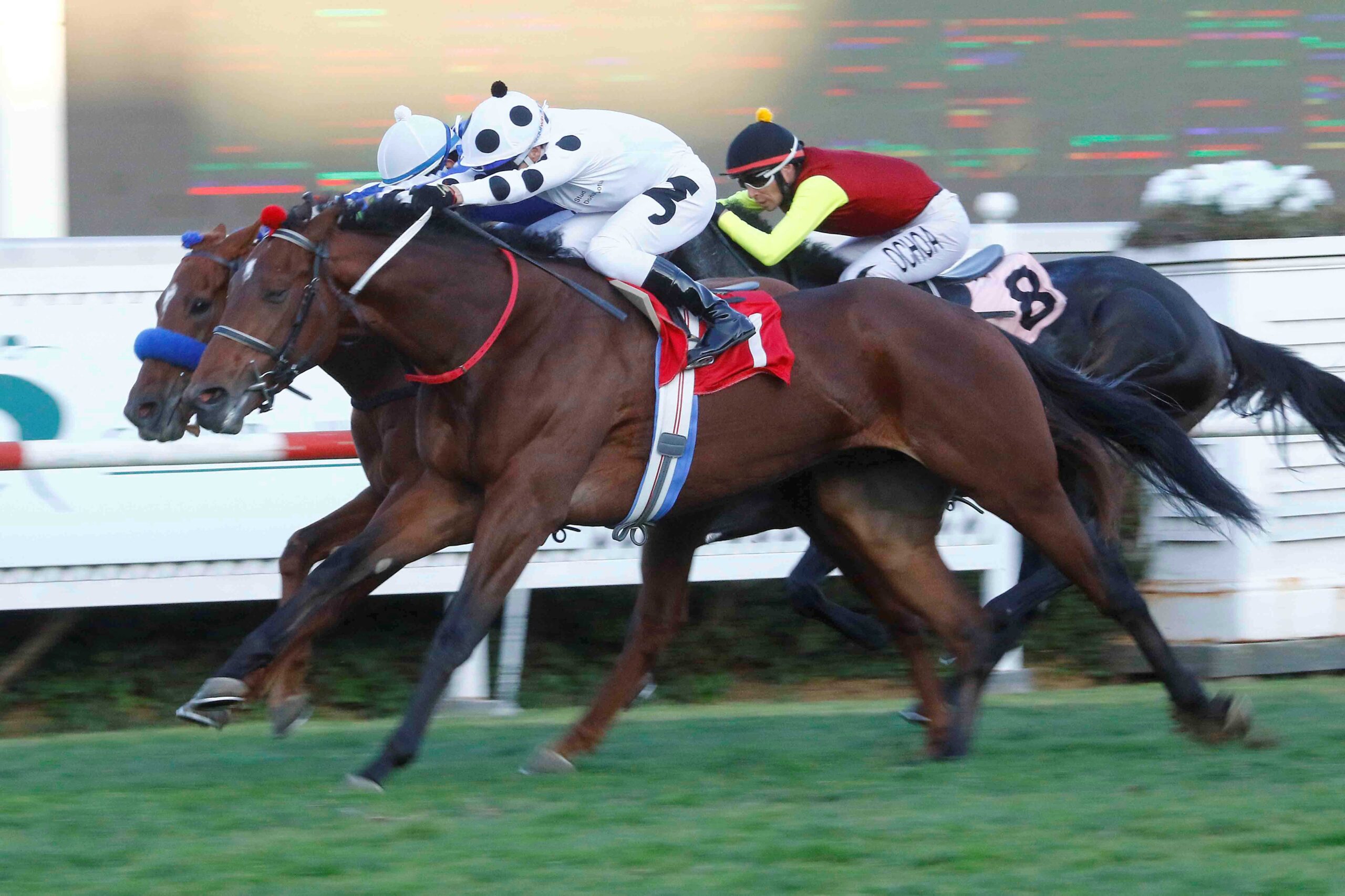 Soy Invencible, horse, Mendelssohn, Clásico Álvaro Covarrubias, lunes, 6 de mayo de 2024, Club Hípico de Santiago. Foto: Jaime Cortés