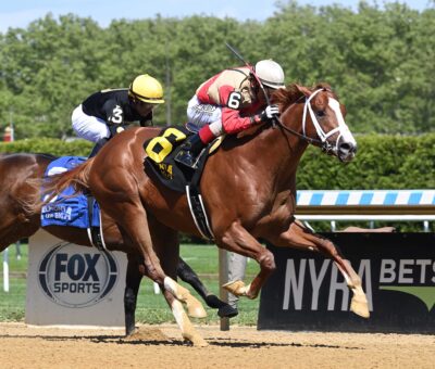 Antiquarian, horse, Preservationist, Peter Pan Stakes, sábado, 11 de mayo de 2024, Belmont At The Big A. Foto: Coglianese Photo