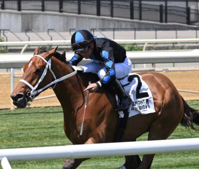 Neecie Marie, horse, Cross Traffic, Beaugay Stakes, sábado, 11 de mayo de 2024, Belmont At The Big A. Foto: Coglianese Photo & Chelsea Durand