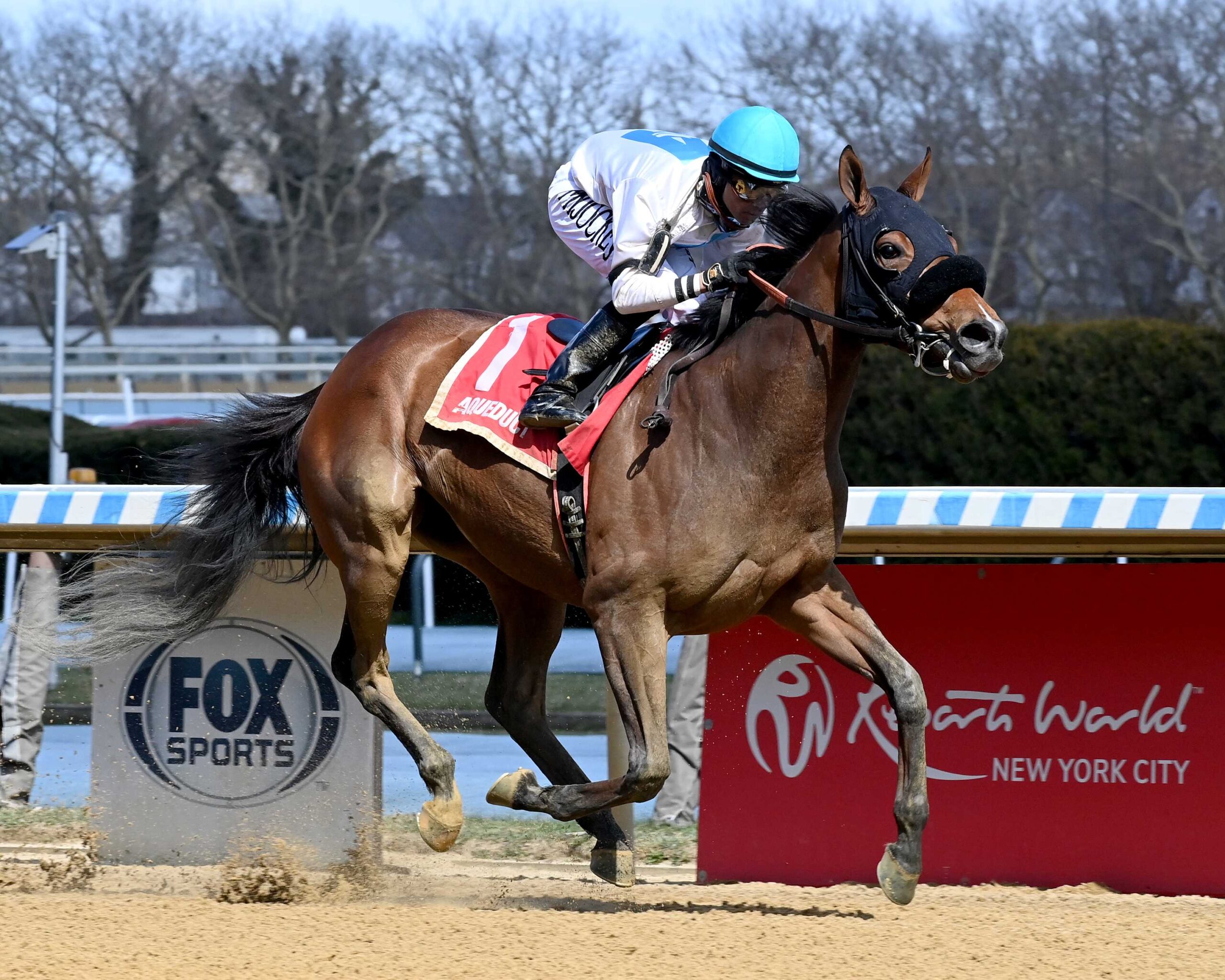 Where´s My Ring, horse, Twirling Candy, Gazelle Stakes, sábado, 6 de abril de 2024, Aqueduct. Foto: Coglaniese Photo