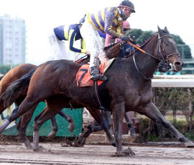 Don Kili, horse, State Of Play, Clásico Juan Luis Edwards Sifuentes, sábado, 15 de junio de 2024, Hipódromo Chile. Foto: Jaime Cortés