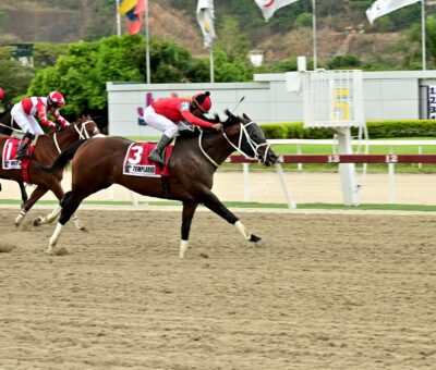 Templario, horse, Haras La Invasión, Clásico Ejército, domingo, 9 de junio de 2024, La Rinconada. Foto: José Antonio Aray