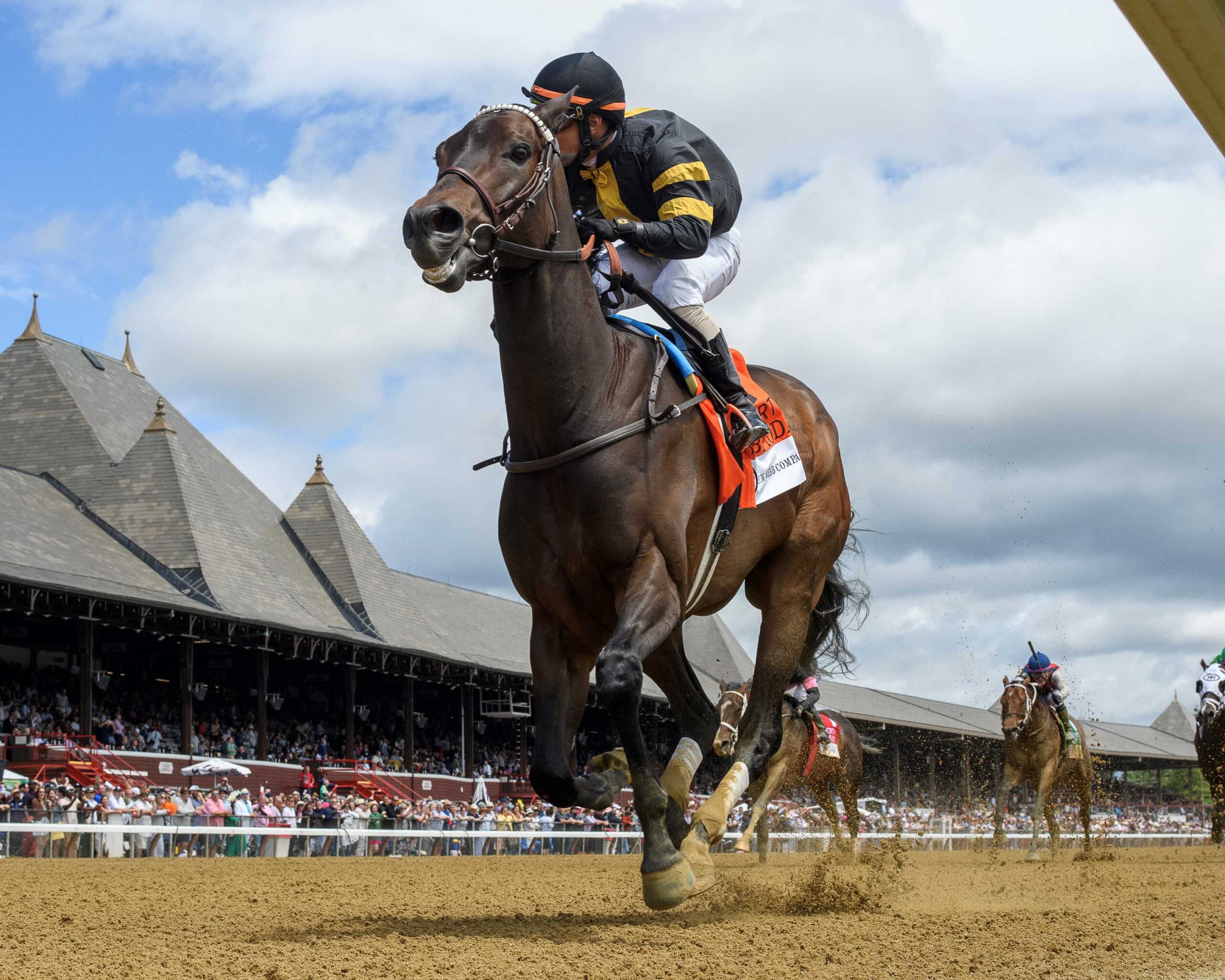Baby Yoda, horses, Prospective, True North Stakes, sábado, 8 de junio de 2024, Saratoga. Foto: Coglianese Photo