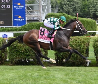 Cogburn, horses, Not This Time, Jaipur Stakes, sábado, 8 de junio de 2024, Saratoga. Foto: Coglianese Photo & Susie Raisher