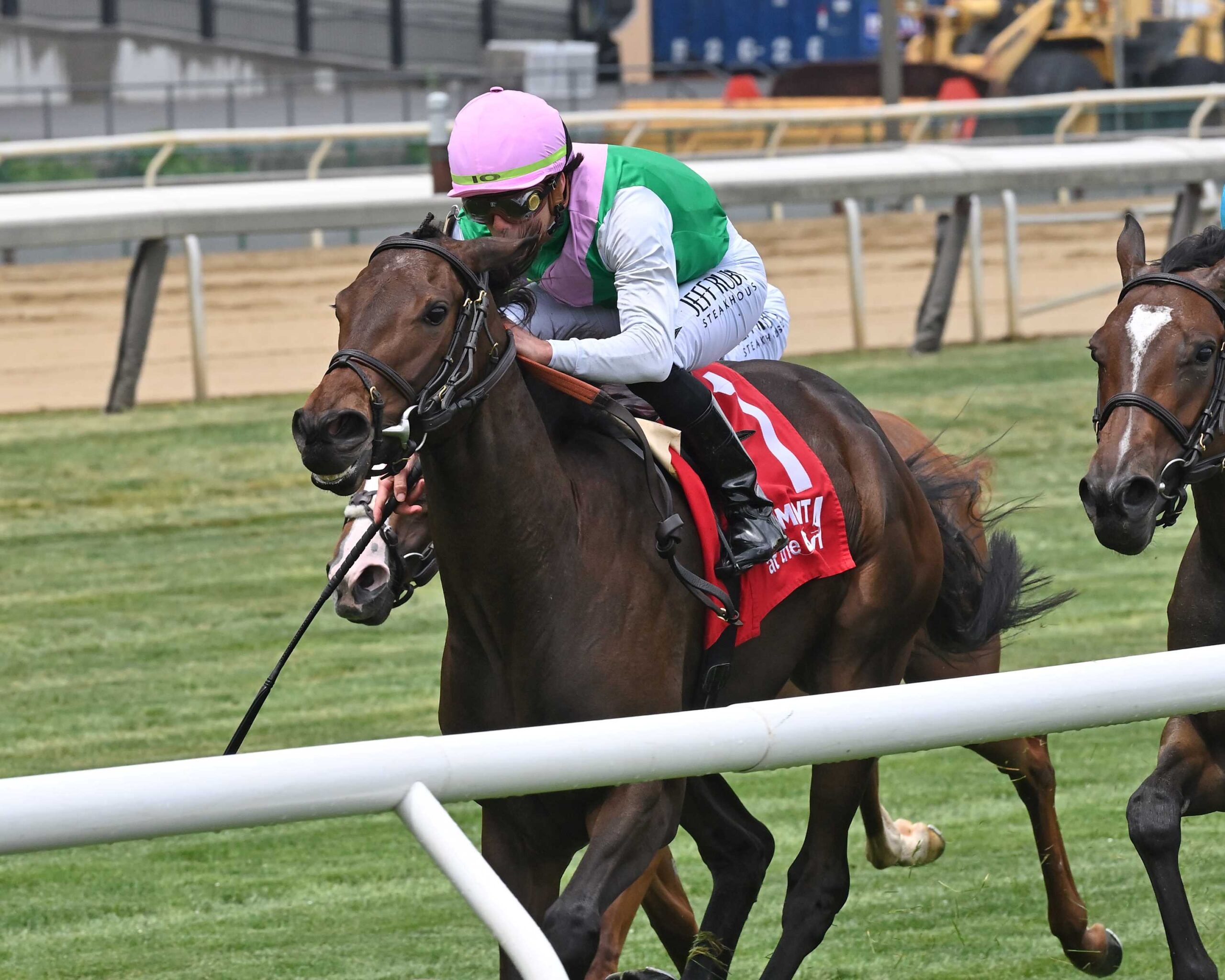 Segesta, horses, Juddmonte, Wonder Again Stakes, lunes, 27 de mayo de 2024, Belmont At The Big A. Foto: Coglianese Photo & Chesea Durand
