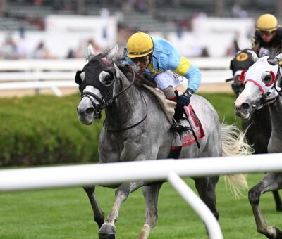 The Grey Wizard, Horses, Eclipse Thoroughbred Partners, Belmont Gold Cup Stakes, jueves, 6 de junio de 2024, Saratoga. Foto: Coglianese Photo & Chelsea Durand