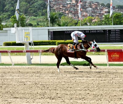 Fidanzata, horse, Keep Thinking, Clásico Joaquín Crespo, domingo, 21 de julio de 2024, La Rinconada. Foto: José Antonio Aray