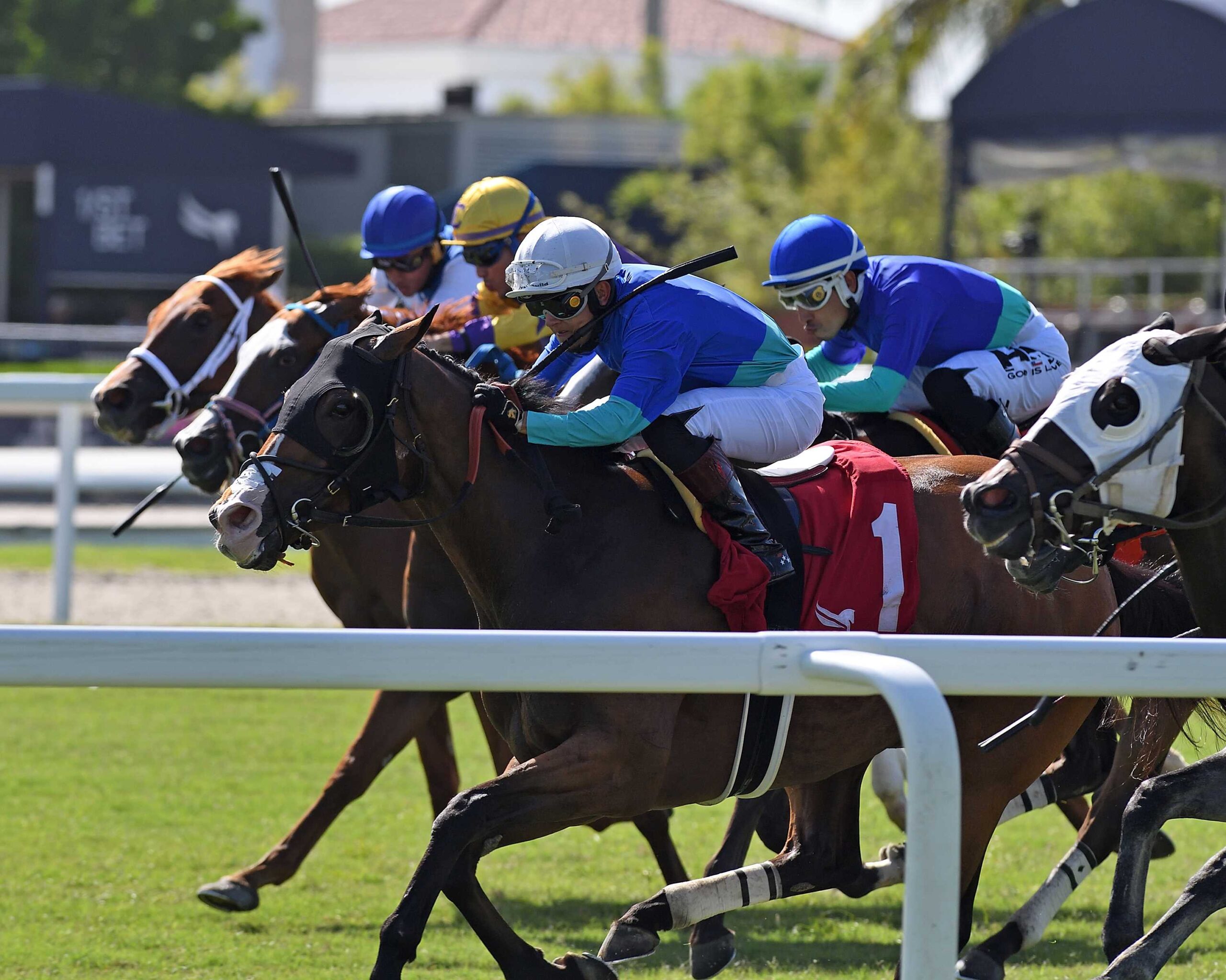 Ornela, horse, Into Mischief, Allowance Opcional Claiming, 14 de julio de 2024, Gulfstream Park. Foto: Coglianese Photo & Ryan Thmopson