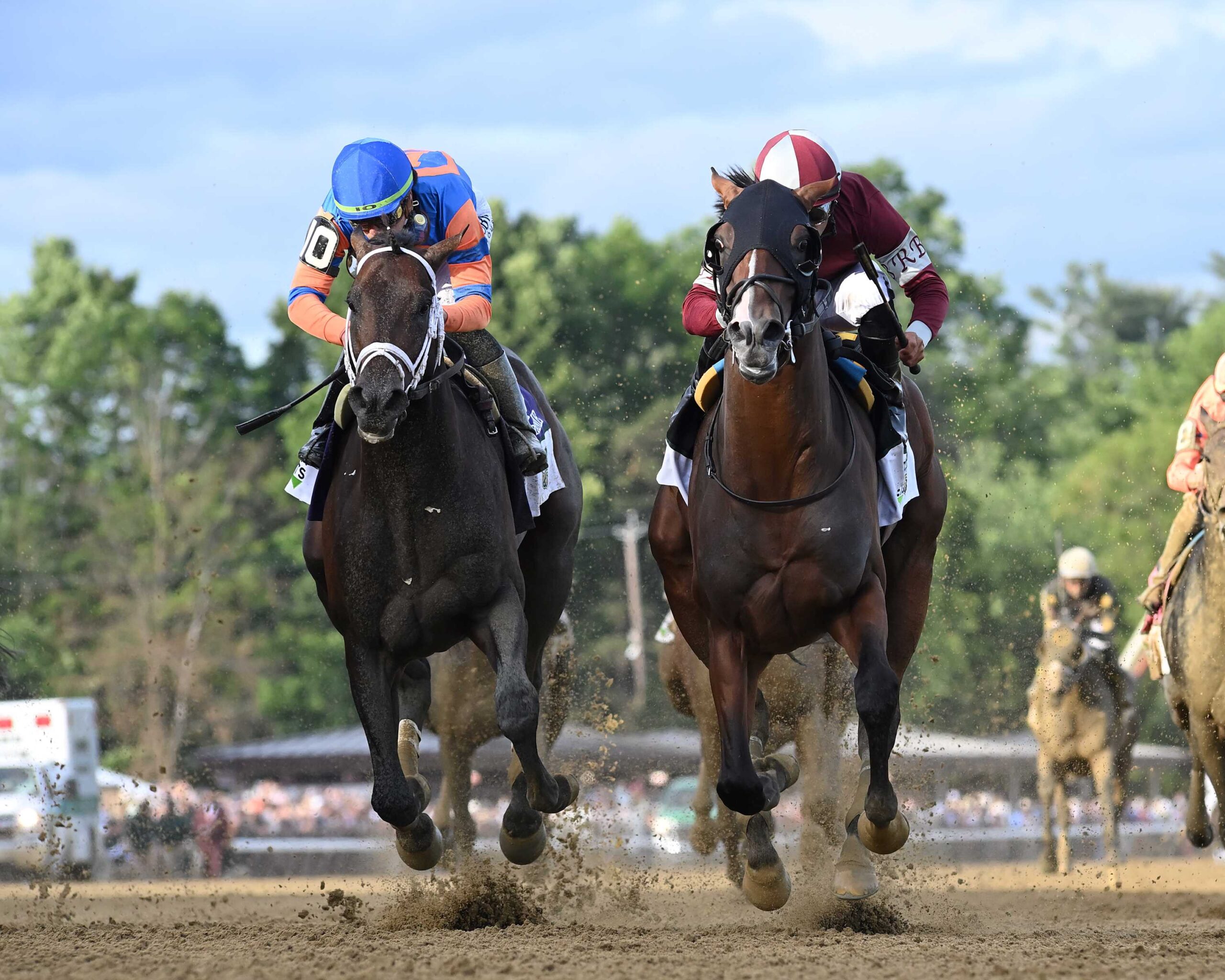 Dornoch, horse, Grandview Equine, Belmont Stakes, sábado, 8 de junio de 2024, Saratoga. Foto: Coglaniese Photo