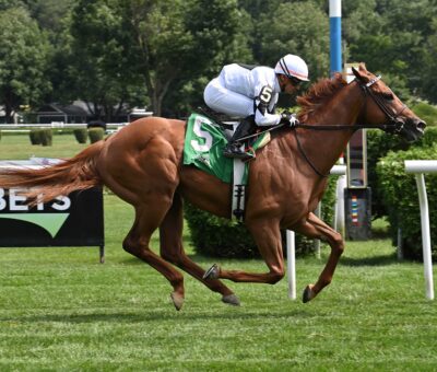 The Big Torpedo, horse, Big Brown, NYSS Cab Calloway División, jueves, 18 de julio de 2024, Saratoga. Foto: Coglaniese Photo