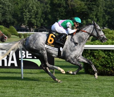 Whitebeam, horse, Juddmonte Farms, Diana Stakes, sábado, 13 de julio de 2024, Saratoga. Foto: Coglaniese Photo