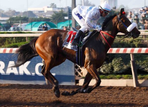 Ando Soltera, horses, Haras Dadinco, Clásico Mil Guineas, sábado, 31 de agosto de 2024, Hipódromo Chile. Foto: Jaime Cortés