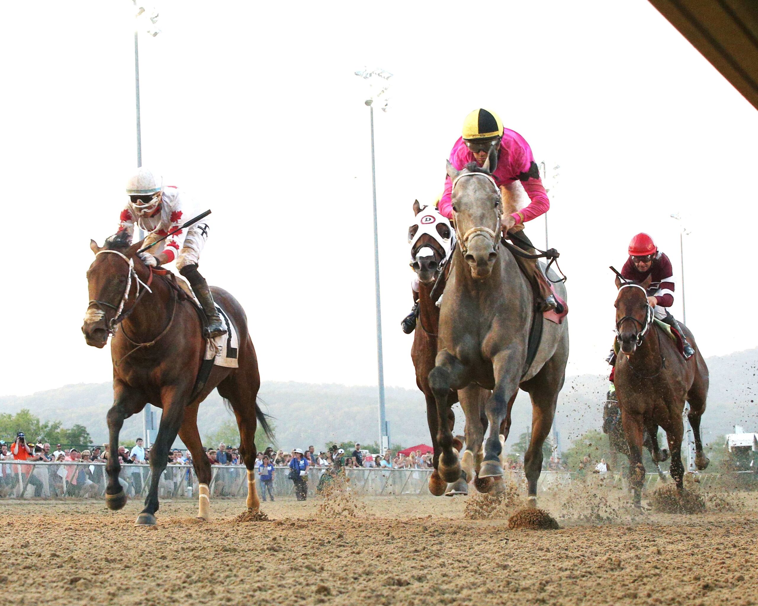 Hit Show, horse, Gary And Mary West, West Virginia Governor´s Stakes, domingo, 4 de agosto de 2024, Mountaineer Casino. Foto: Coady Media