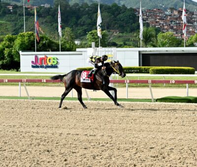 Niño Lorenzo, horse, Haras Los Caracaros, Clásico República de Venezuela, domingo, 4 de agosto de 2024, La Rinconada. Foto: José Antonio Aray