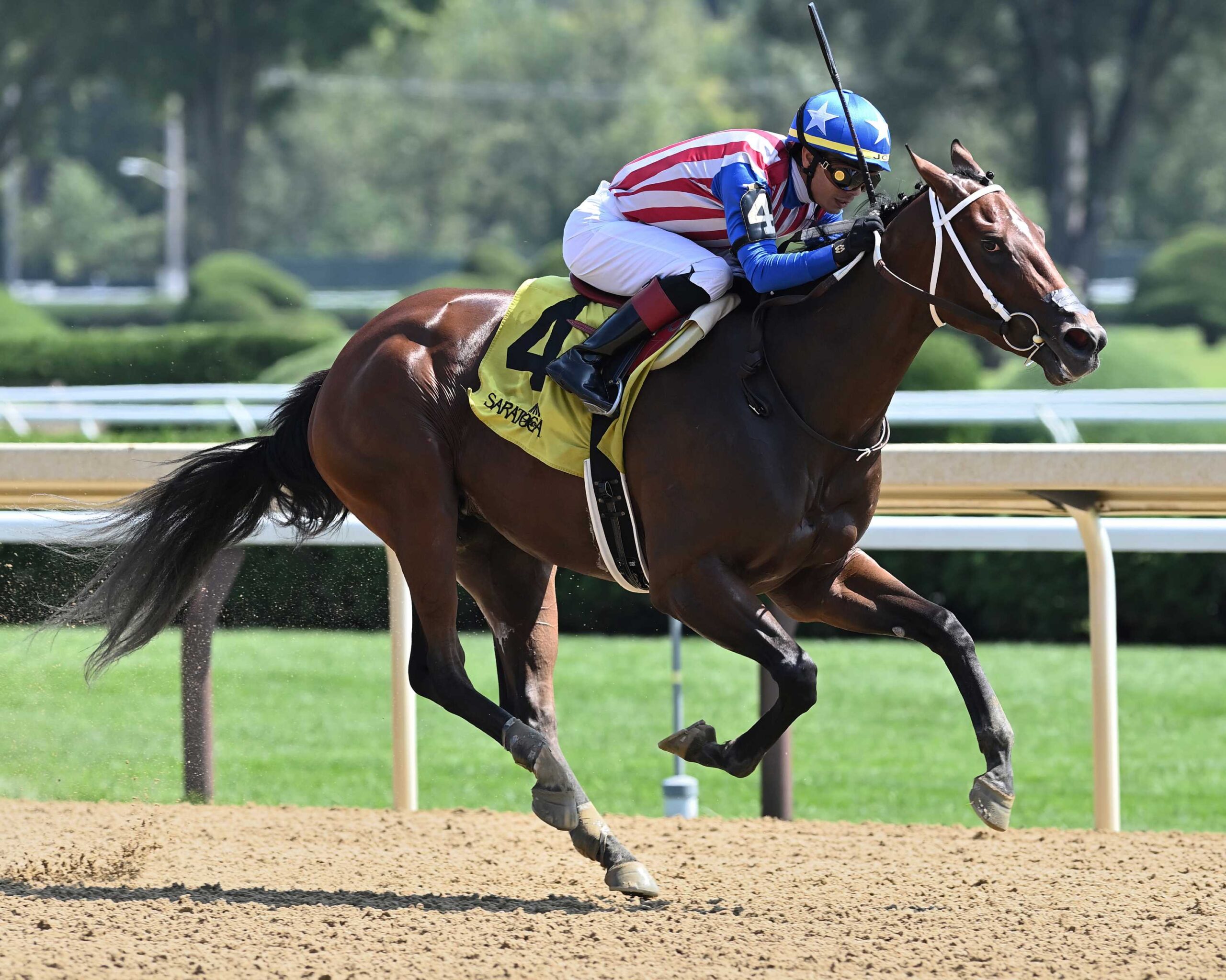 Accelerating, horse, Mitole, Seeking The Ante Stakes, domingo, 25 de agosto de 2024, Saratoga. Foto: Coglaniese Photo
