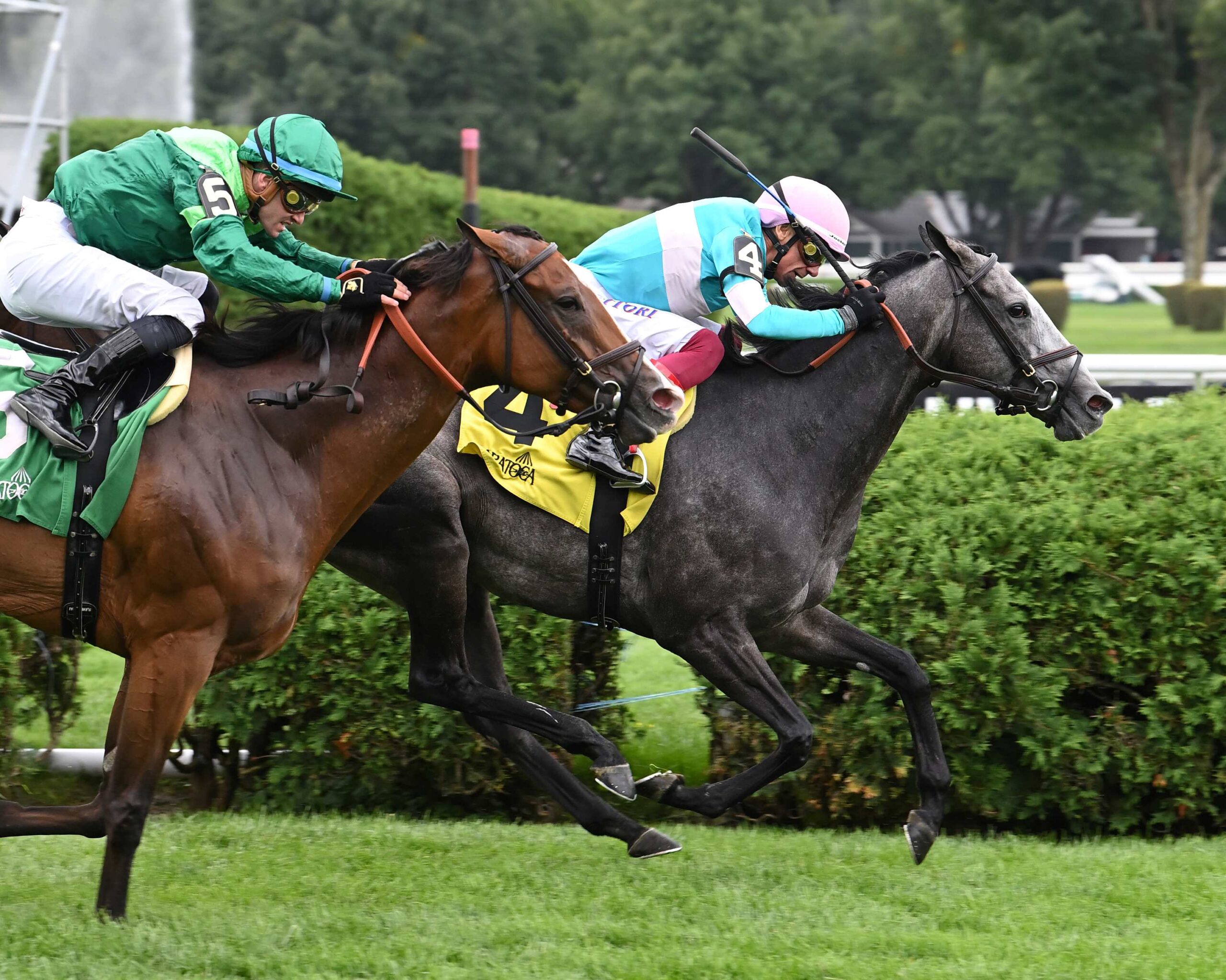 Beaute Cachee, horse, Madaket Stables, Ballston Spa Stakes, jueves, 22 de agosto de 2024, Saratoga. Foto: Coglaniese Photo