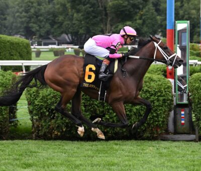 Cathkin Peak, horse, Alhebayeb, John´s Call Stakes, miércoles, 21 de agosto de 2024, Saratoga. Foto: Coglaniese Photo