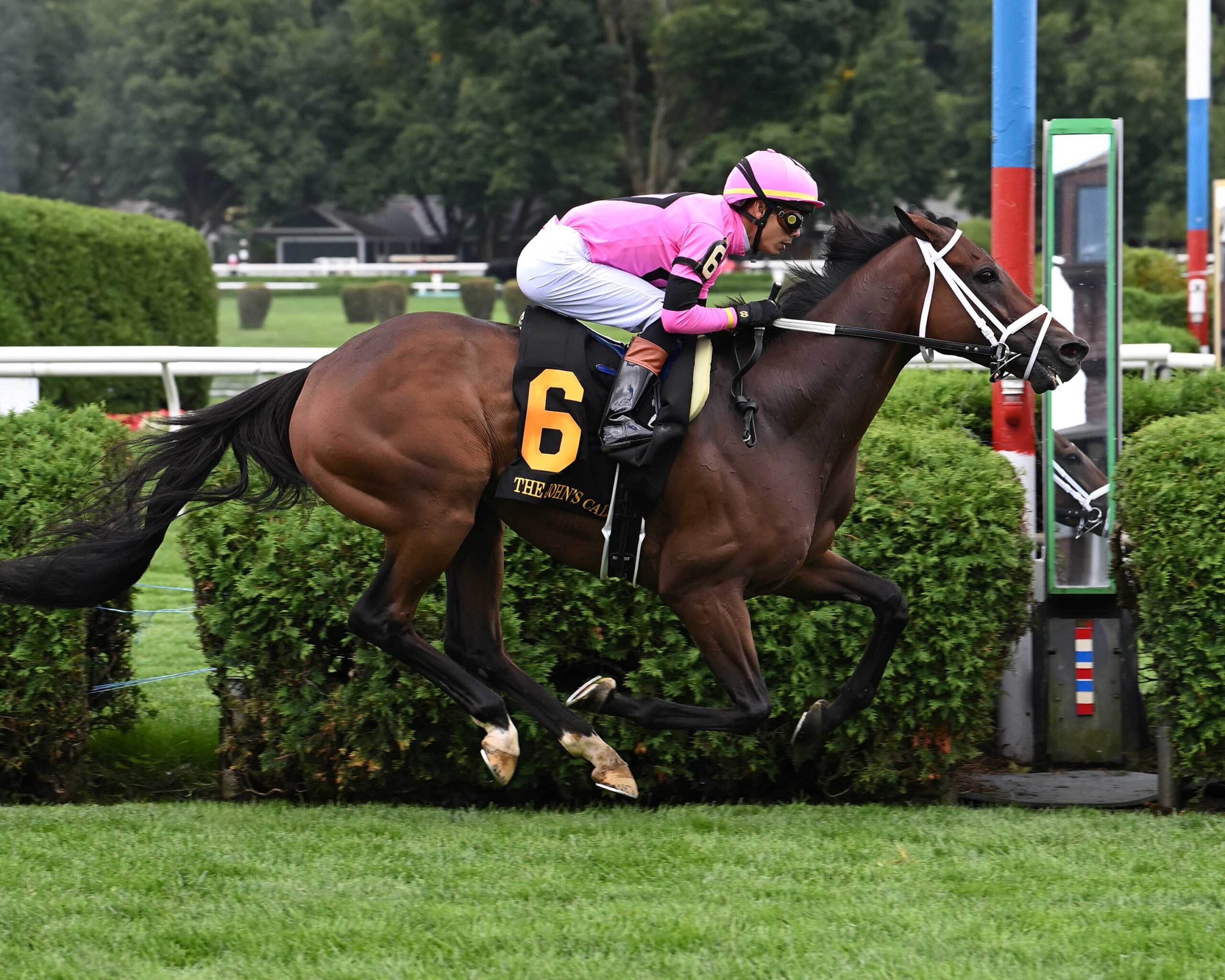 Cathkin Peak, horse, Alhebayeb, John´s Call Stakes, miércoles, 21 de agosto de 2024, Saratoga. Foto: Coglaniese Photo