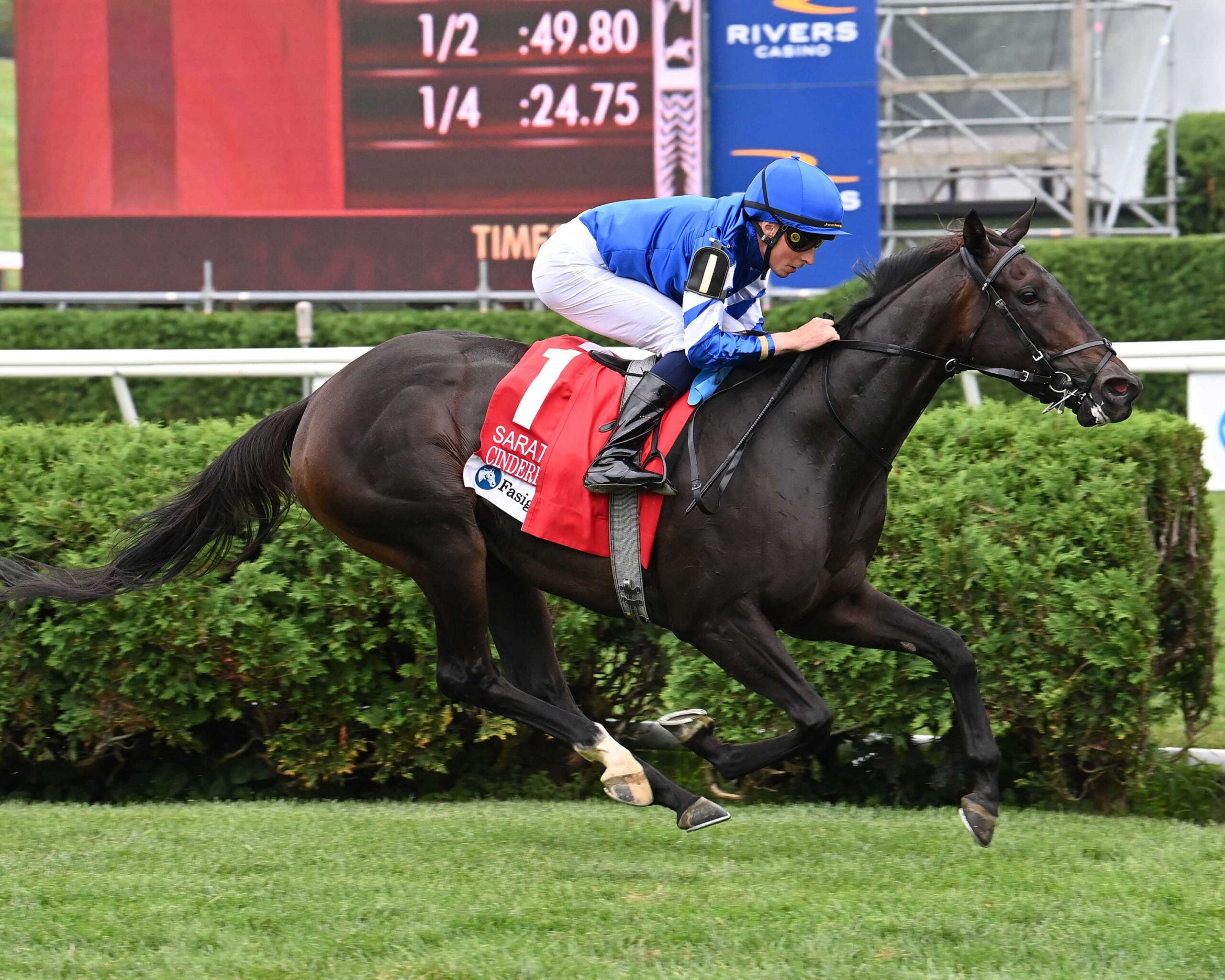 Cinderella´s Dream, horse, Shamardal, Saratoga Oaks Invitational, viernes, 2 de agosto de 2024, Saratoga. Foto: Coglaniese Photo