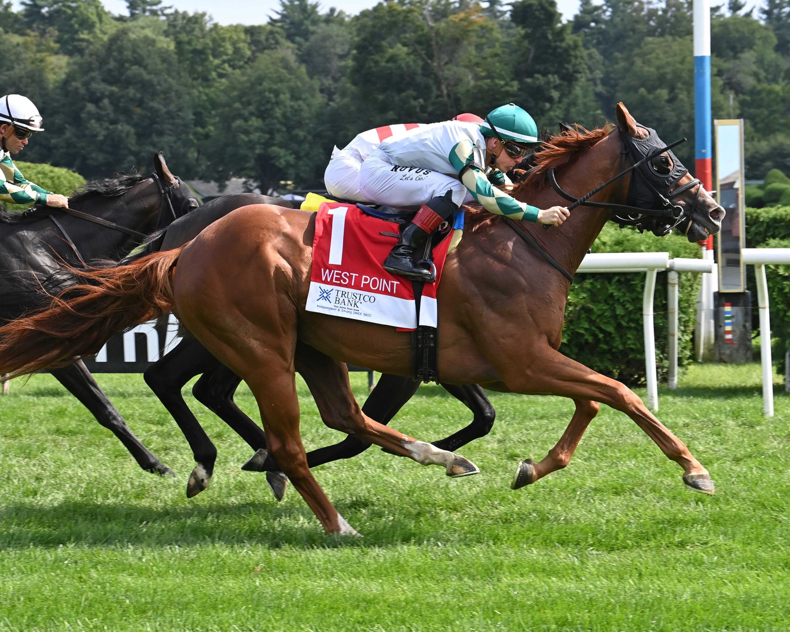 Dakota Gold, horse, Freud, West Point Stakes, domingo, 25 de agosto de 2024, Saratoga. Foto: Coglaniese Photo