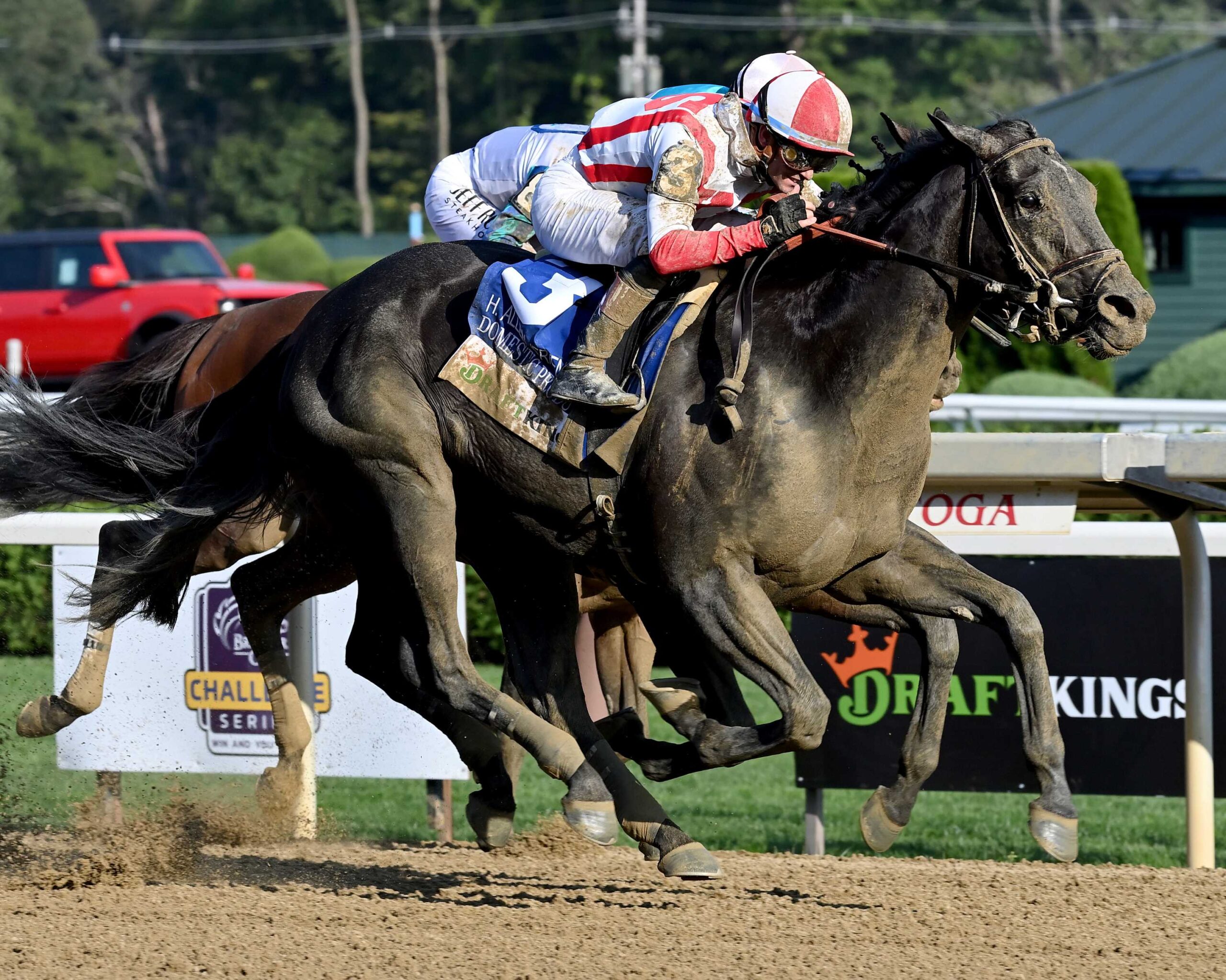 Domestic Product, horse, Practical Joke, H. Allen Jerkens Stakes, sábado, 24 de agosto de 2024, Saratoga. Foto: Coglaniese Photo