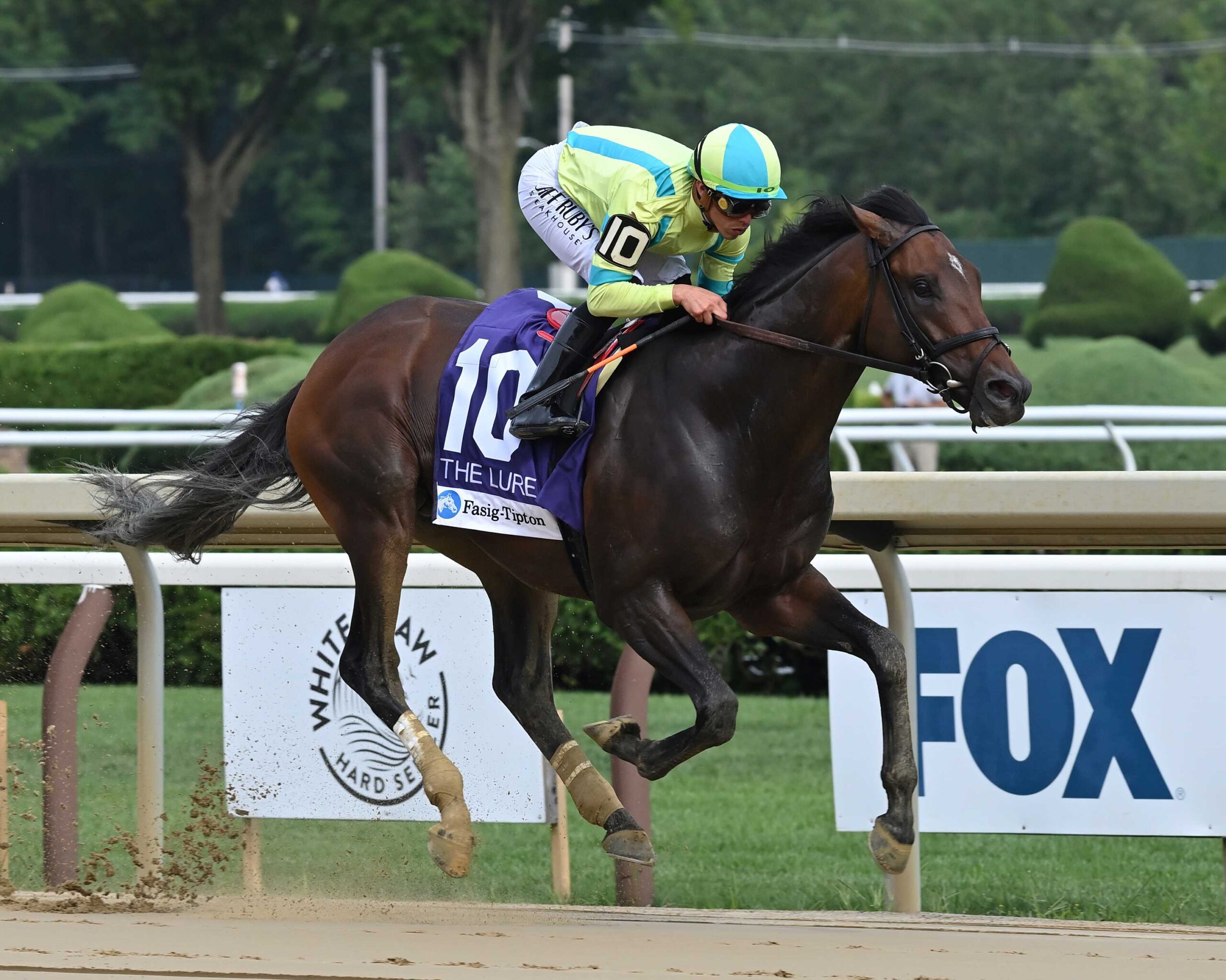 Film Star, horse, Flatter, Fasig-Tipton Lure Stakes, sábado, 3 de agosto de 2024, Saratoga. Foto: Coglaniese Photo