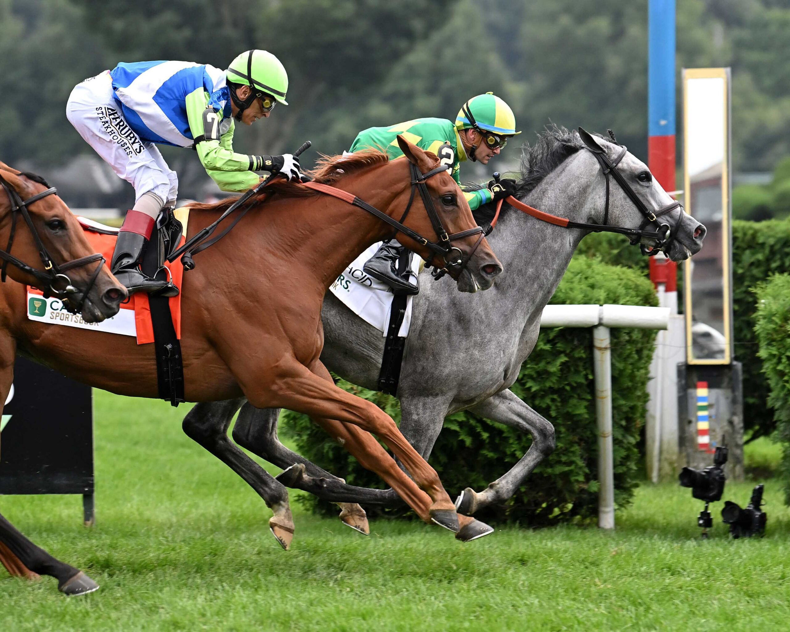 Grayosh, horse, Yoshida, Lake Placid Stakes, sábado, 17 de agosto de 2024, Saratoga. Foto: Coglaniese Photo