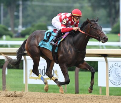 Kimchi Cat, horse, Twirling Candy, Bolton Landing Stakes, domingo, 18 de agosto de 2024, Saratoga. Foto: Coglaniese Photo