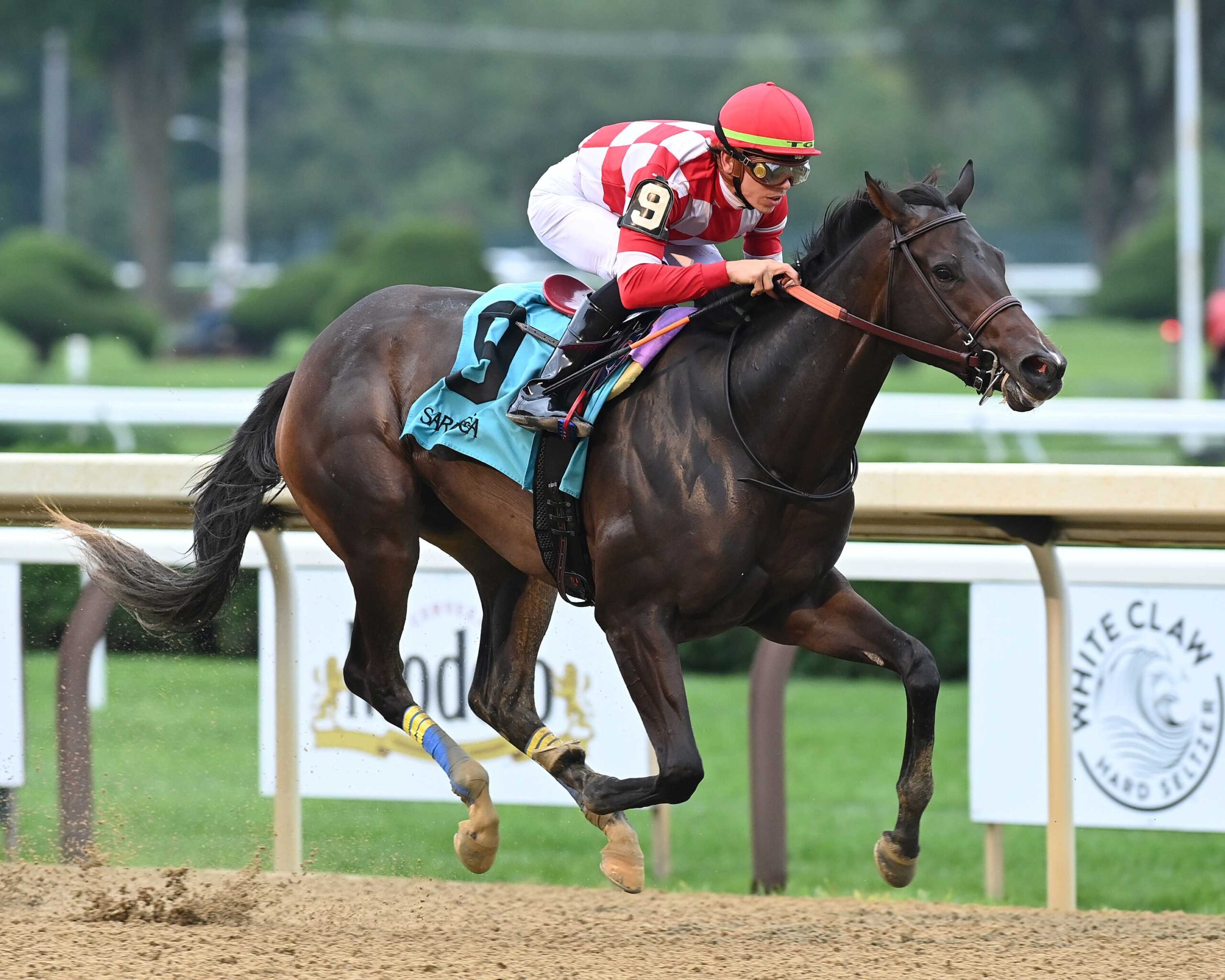 Kimchi Cat, horse, Twirling Candy, Bolton Landing Stakes, domingo, 18 de agosto de 2024, Saratoga. Foto: Coglaniese Photo
