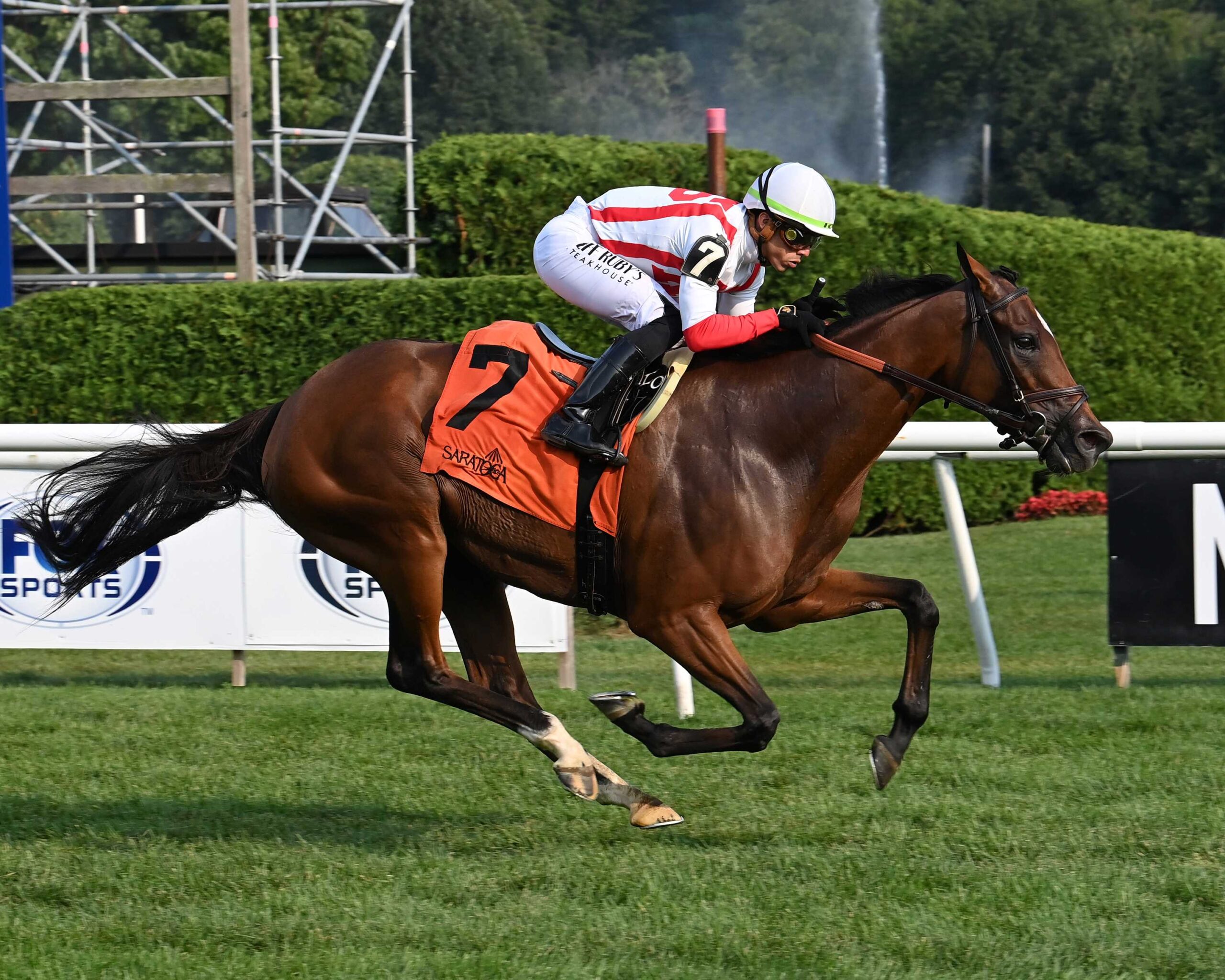 McKulick, horse, Klaravich Stables Inc., Glens Falls Stakes, jueves, 3 de agosto de 2023, Saratoga. Foto: Coglaniese Photo