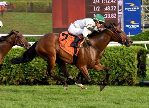 Moonage Daydream, horse, Candy Ride, Yadoo Stakes, domingo, 25 de agosto de 2024, Saratoga. Foto: Coglaniese Photo